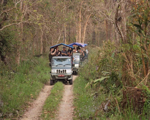 Chitwan Safari Tour 